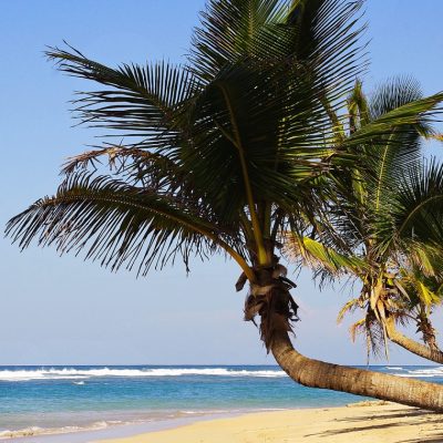 Quelle est la particularité d’opter pour un voyage à Punta Cana ?