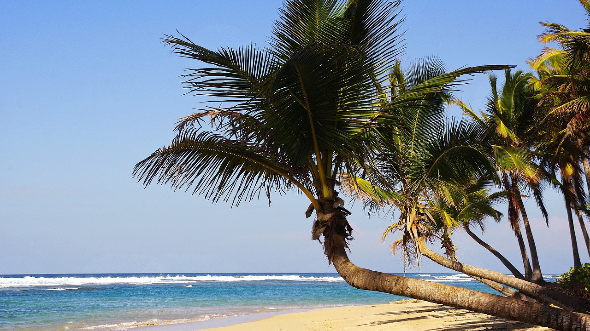 Quelle est la particularité d’opter pour un voyage à Punta Cana ?